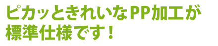 ピカッときれいなPP加工が標準仕様です。